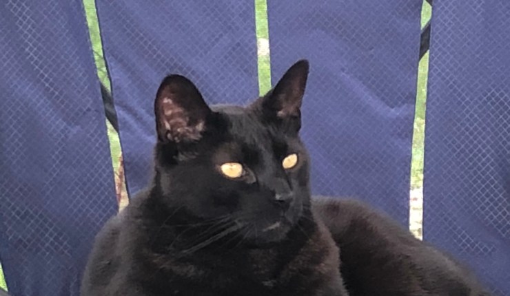 Mr. Sam goes on&nbsp;vacation