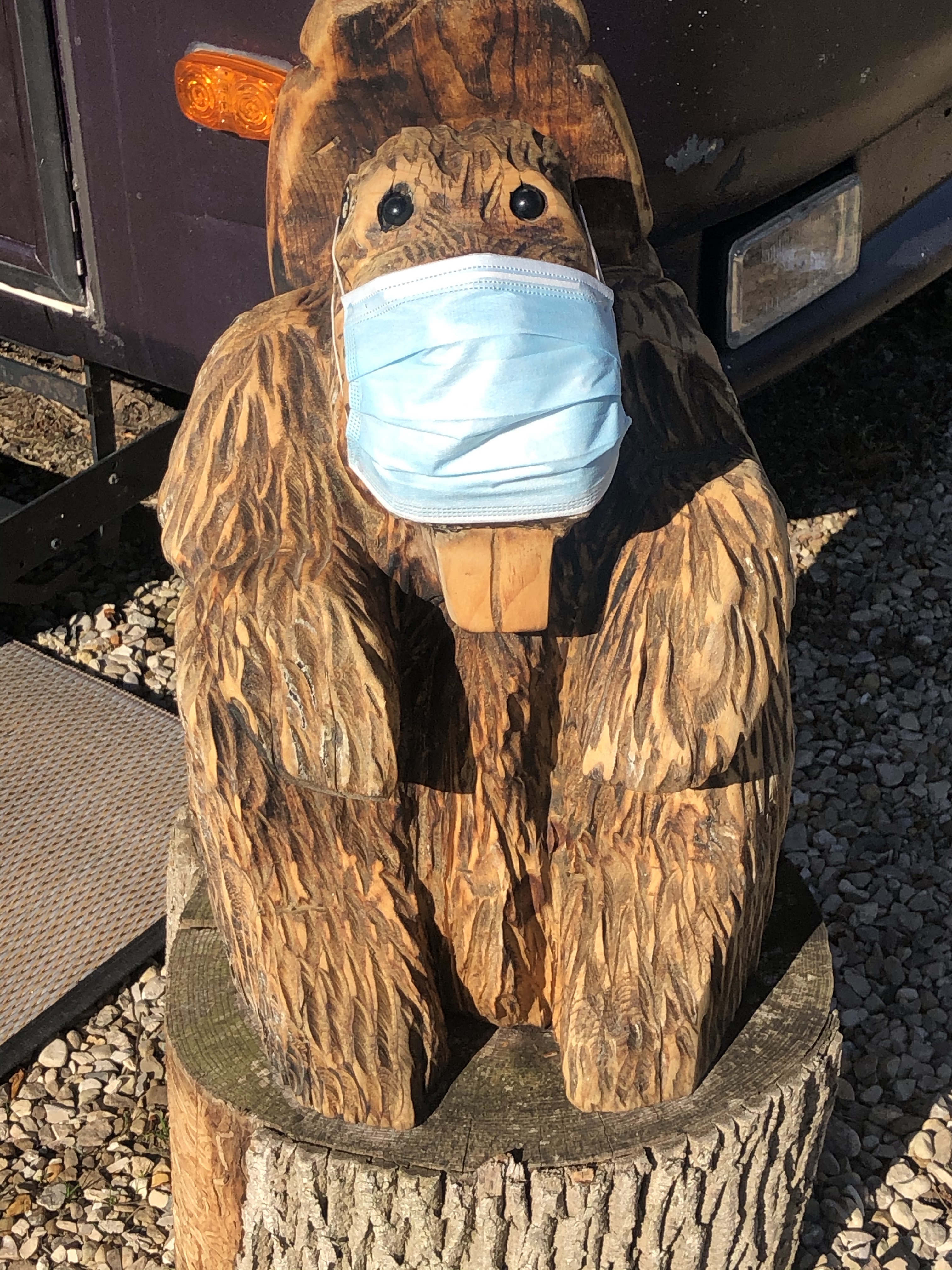 Even our mascot has a mask!