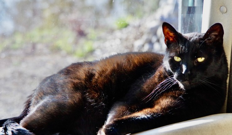 People! People! People!