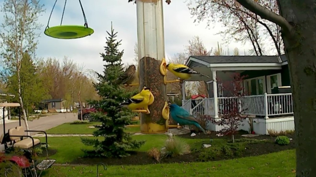 This 2022 revision of our adventures on the road, the month of May was our first introduction of Thunder the motor coach has become our home on wheels.