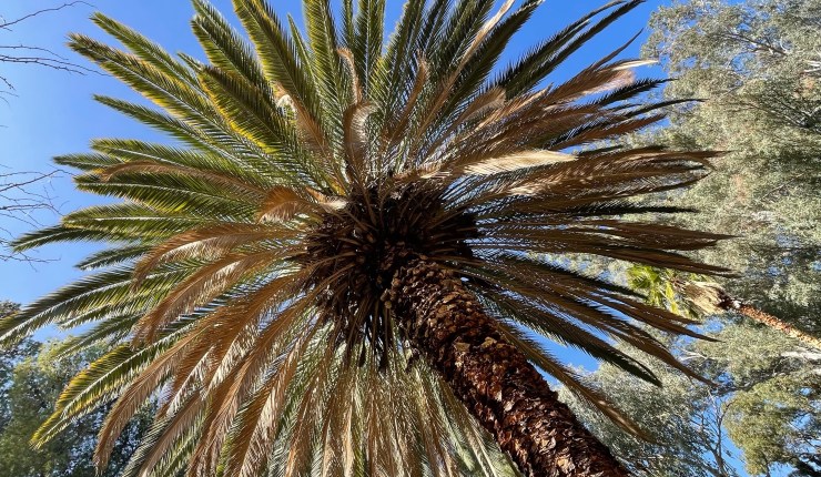 Week nine @&nbsp;BTA