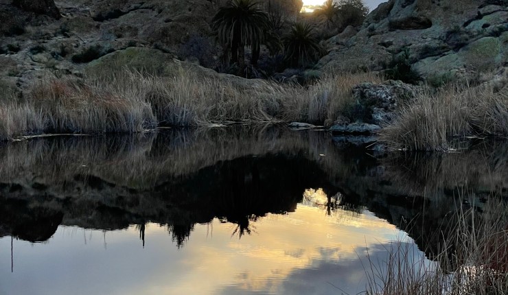 January’s Windshield View&nbsp;2022