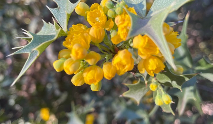 Week eleven @&nbsp;BTA