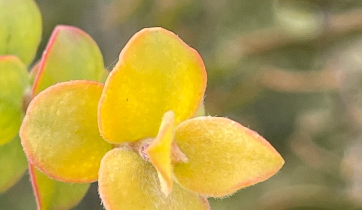 Week twelve @&nbsp;BTA