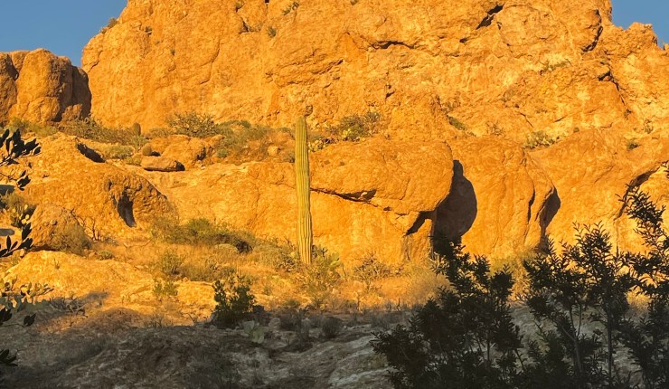 Week fourteen @&nbsp;BTA