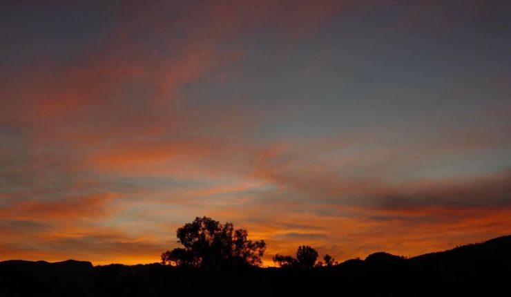 Week fifteen @&nbsp;BTA