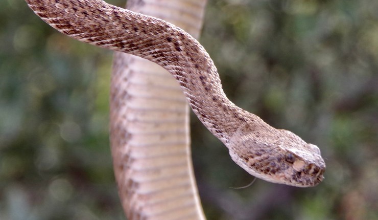 Week twenty @&nbsp;BTA