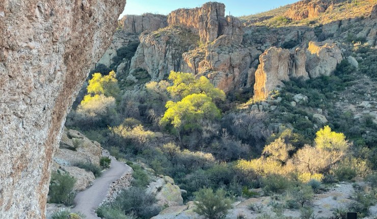 Week sixteen @&nbsp;BTA