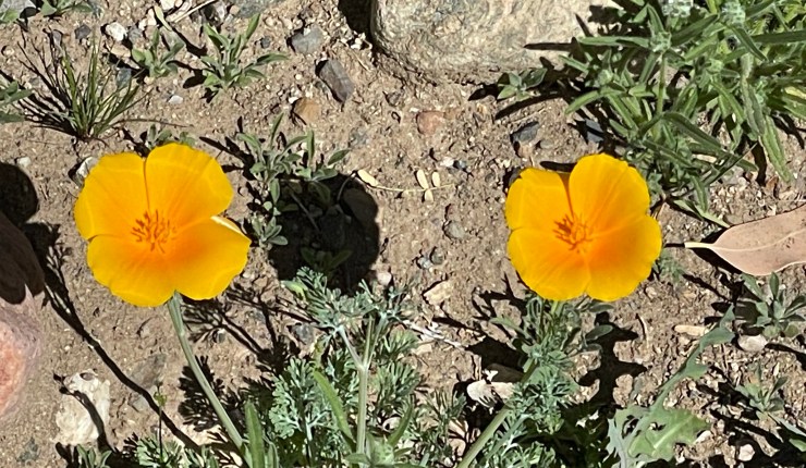 Week seventeen @&nbsp;BTA