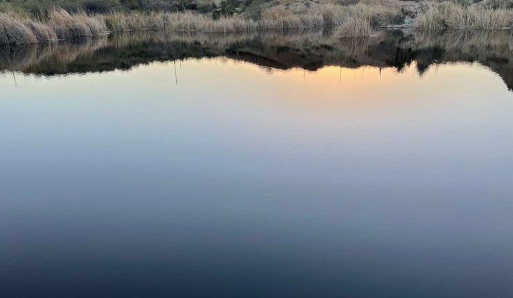 Week eighteen @&nbsp;BTA