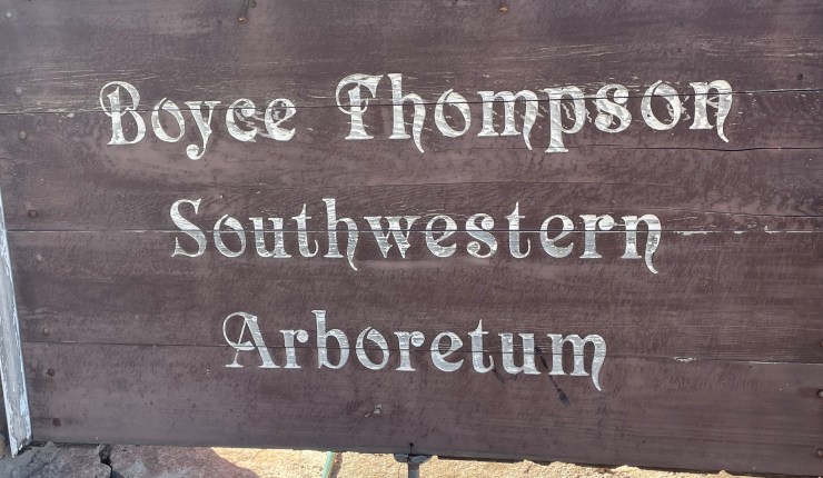 March’s Windshield View&nbsp;2022