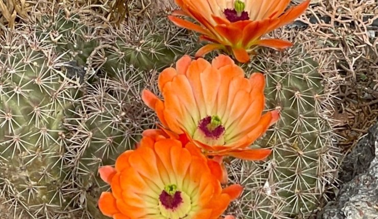 Week twenty three @&nbsp;BTA