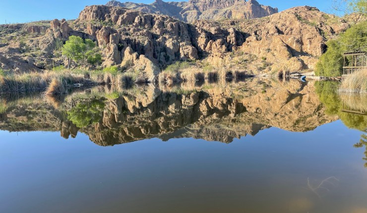 Week twenty one @&nbsp;BTA