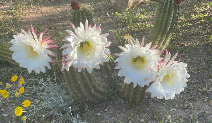 Week twenty two @&nbsp;BTA