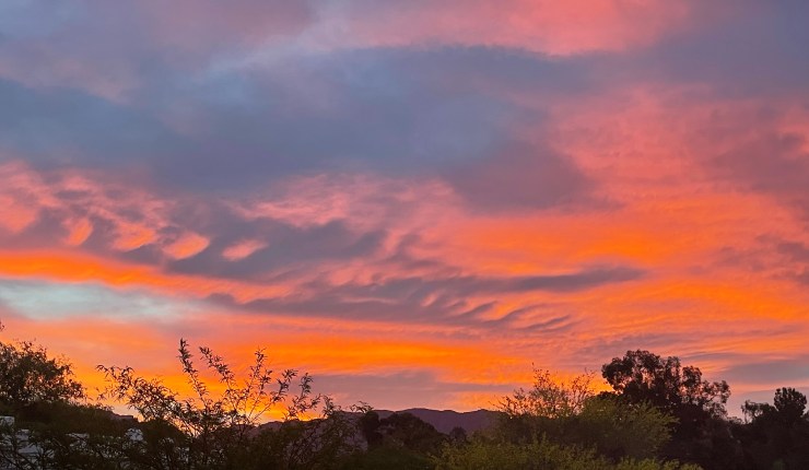 Aprils Windshield View&nbsp;2022