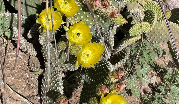 Week twenty four @&nbsp;BTA