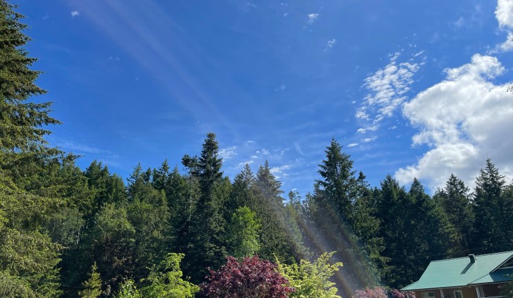 Week four @&nbsp;CMR