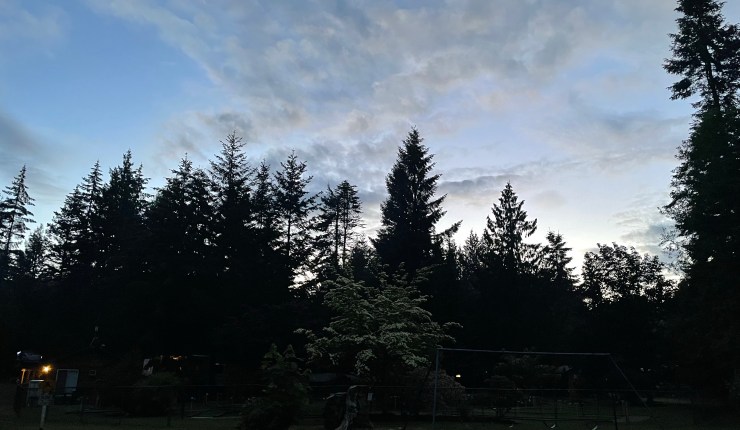 Week five @&nbsp;CMR