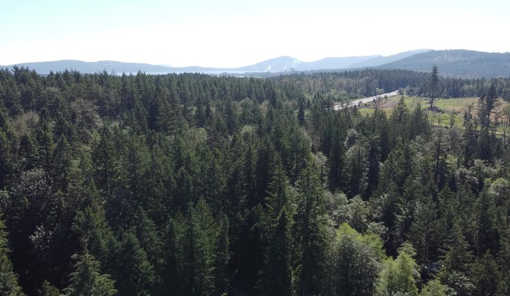 Week eleven @&nbsp;CMR