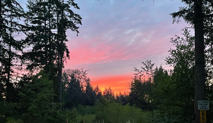 Week seven @&nbsp;CMR