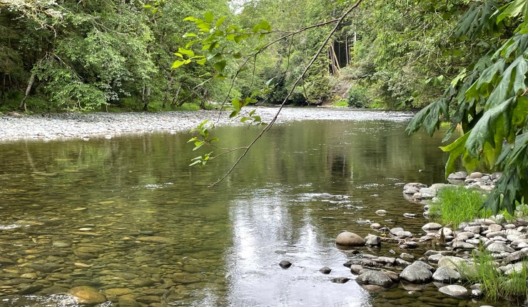 Week nine @&nbsp;CMR