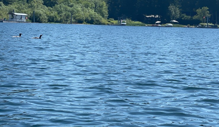 Bear Lake, kayaking&nbsp;adventure