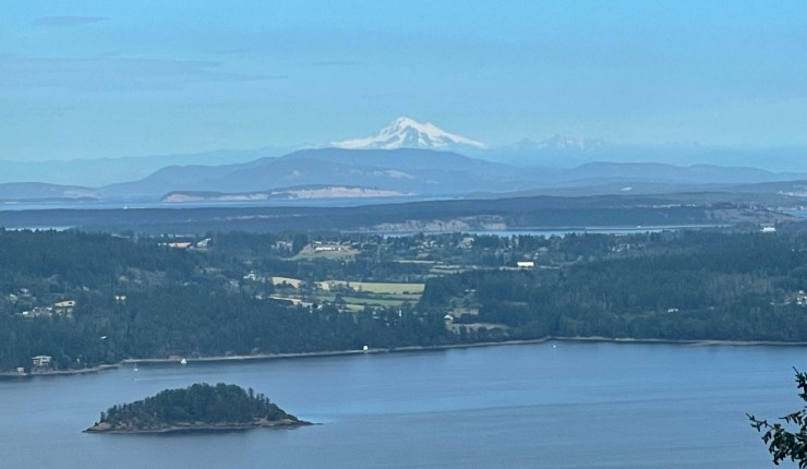 Week twelve @&nbsp;CMR