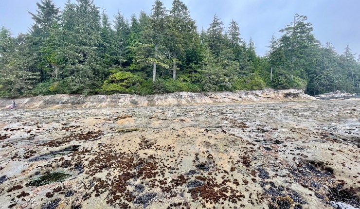 Pacific Marine Circle&nbsp;adventure