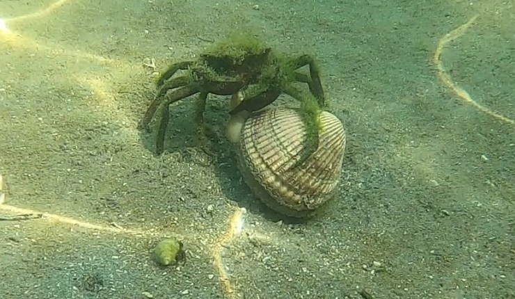 Week fifteen @&nbsp;CMR