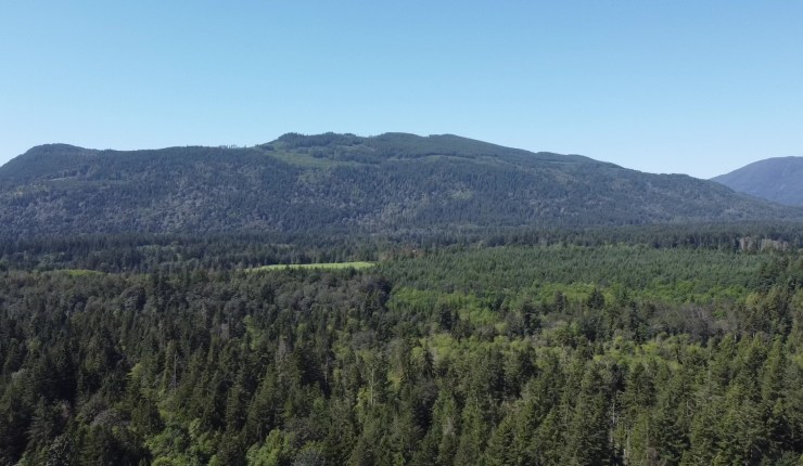 Week sixteen @&nbsp;CMR