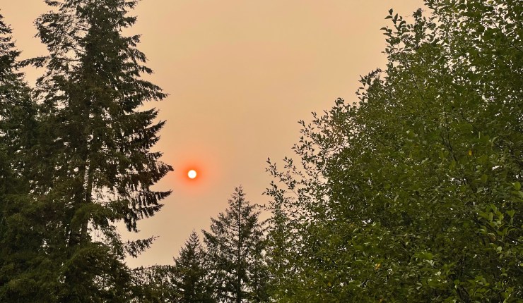 Week seventeen @&nbsp;CMR