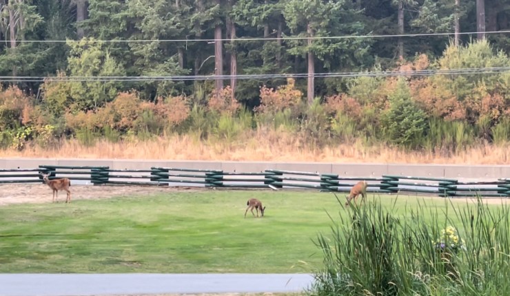 Week eighteen @&nbsp;CMR