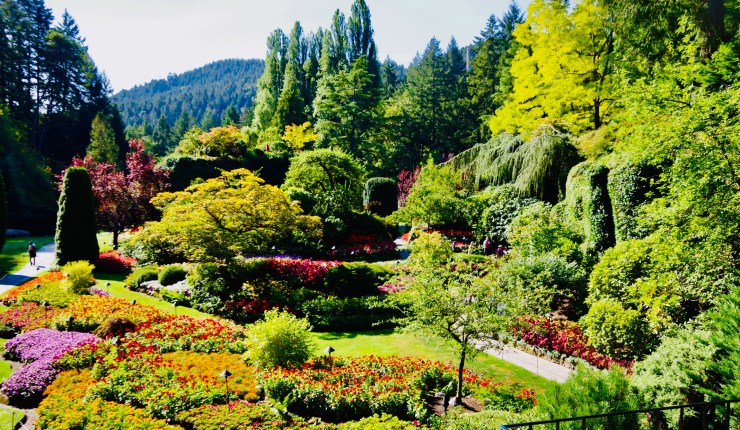Butchart Gardens –&nbsp;Review