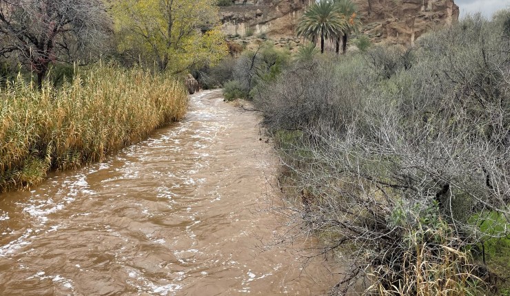 Ok, I’m whining to start off&nbsp;2023!