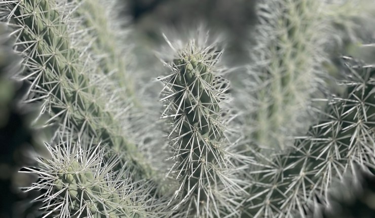 Mid March 2023&nbsp;Update