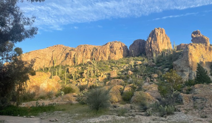 Mid-April 2023 Update