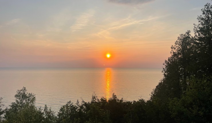 Mid-June 2023 Review