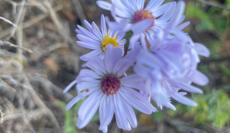 September 2023 update: