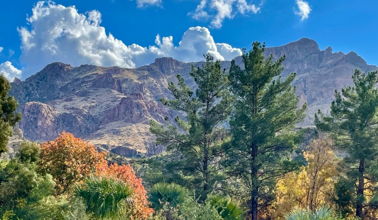 December 2023 Review: