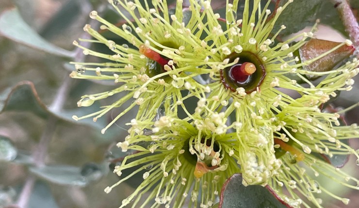 November 2023 Review: