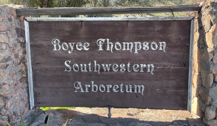 Boyce Thompson Arboretum: History, Background, and the Arboretum Today